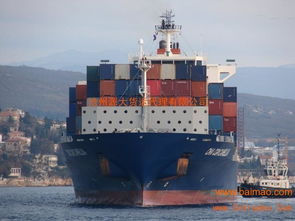 沧州源大国际货运代理公司 一站式货运解决方案，高效便捷报关报检