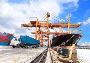 2019澳洲经济报告权威发布 维州领跑全澳，国内货物运输代理行业迎来新机遇