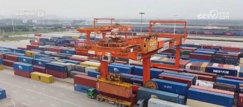 物流业迎“金九”景气，9月指数达53.5彰显行业活力与韧性