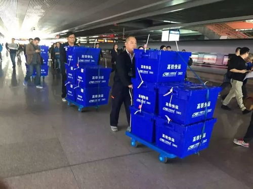 中国铁路五年蓝图 2020年高铁里程达3万公里，货物运输代理体系同步优化